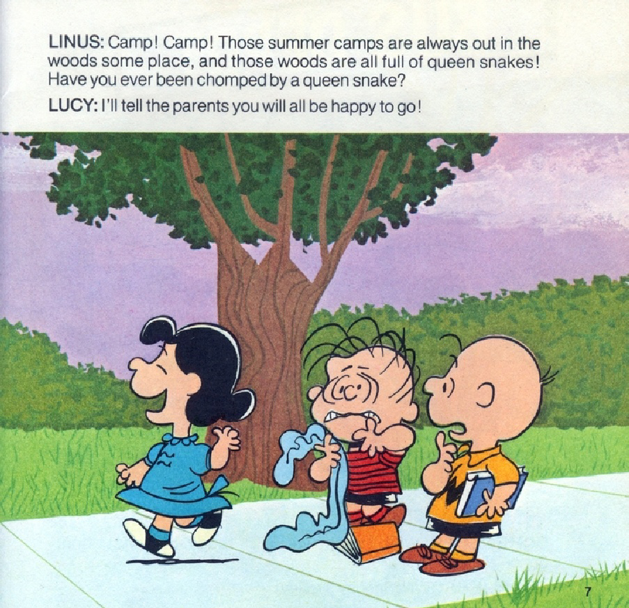It Was A Short Summer, Charlie Brown (09),绘本,绘本故事,绘本阅读,故事书,童书,图画书,课外阅读